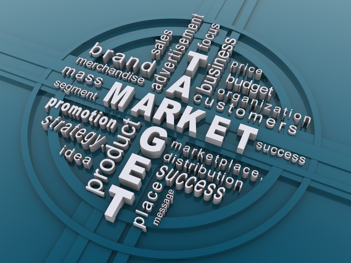 Crafting a Strategic Marketing Plan: Target Market Identification, Budgeting, and Analytics